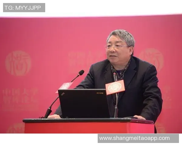 聚焦武汉排球队技战术提升与发展探讨之路