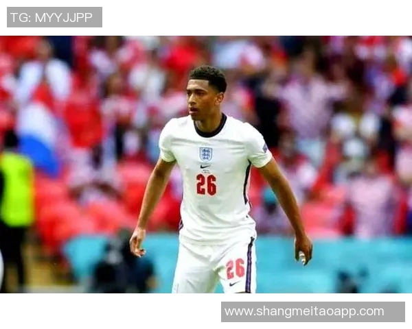 英格兰足球明星身价排行揭晓谁是最具价值的球员之王