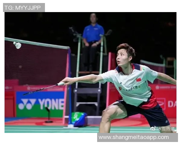 西安排球队逆袭之路揭秘：从低谷到巅峰的奋斗历程与精彩瞬间